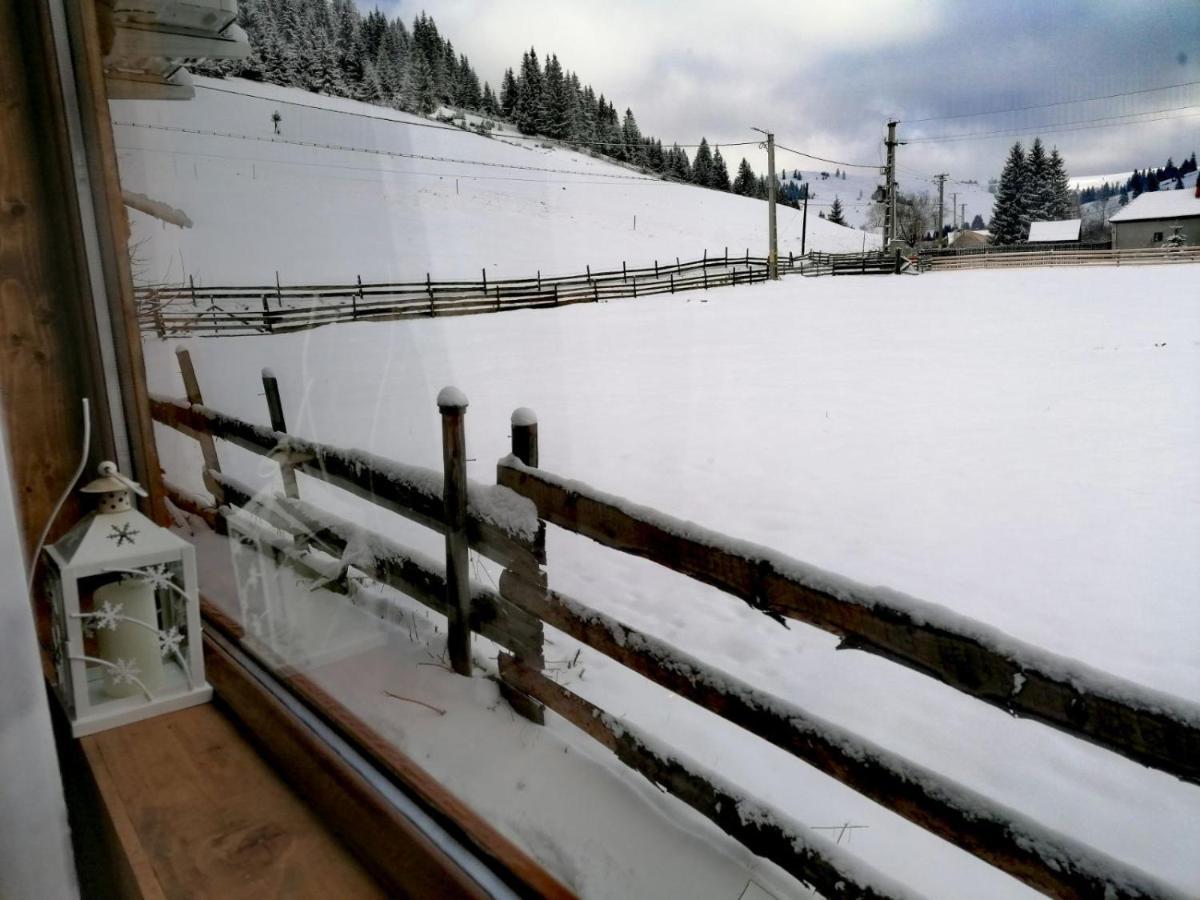 Nexus B2 Guest House Fagetel ภายนอก รูปภาพ